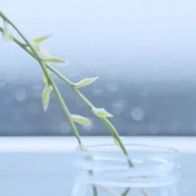 自由摩托模拟官方版下载